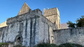 Muckross Abbey, Killarney and its Yew Tree
