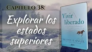 Vivir Liberado - Michael Singer - Audiolibro - Capitulo 38 - Explorar los estados superiores