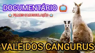 VALE DOS CANGURUS | DOCUMENT&Aacute;RIO NETFLIX #netflixdocumentary #netflixdocuseries #netflixmovies