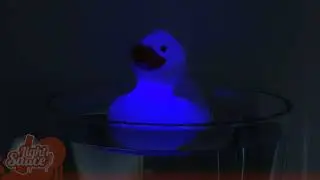 Light Up Bath Duck - Disco Duck