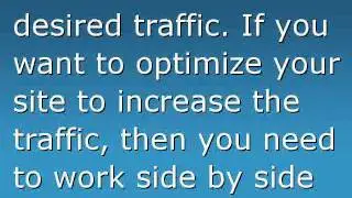 Search Engine Optimization New York SEO New York by Professional Optimizer