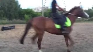 20120812 205048