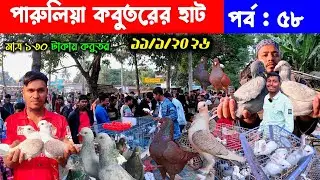 মাত্র ১৩০ টাকায় কবুতর | পারুলিয়া কবুতরের হাট | kobutor hat 2026 | pigeon market in bangaldesh