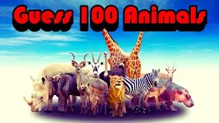 Guess the Animal in 3 Seconds Challenge | Guess 100 Animals Quiz | Easy to Hard