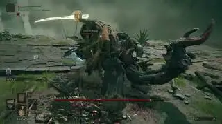 Elden Ring Margit Bossfight Bug