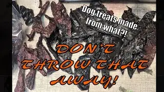 Don&rsquo;t waste that! DIY dog treats