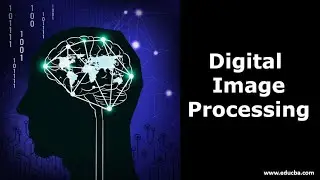 DIP Lecture 1  Digital Image Modalities and Processing
