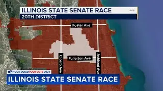 Illinois Senate candidates spend millions on campaigns for 20th District primary election on NW Side