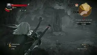 Witcher 3 Death march guide #85: How to get the jade for enchanting at level 16 ( Read description)