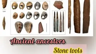 Stone tools |  Big history of our ancestors made razor sharp tools| stone age mystery