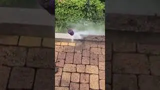 Imagine having this for your deck next summer&hellip; 🌞.     #asmr #cleaning #clean #garden #satisfying