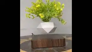 Magnetic Levitation Potted Plant Creative Gift Furniture Decoration