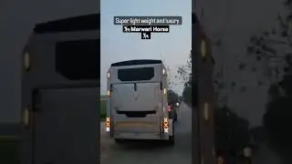 |~Marwari Horse~|&trade;luxury transportation🚛 trailer 🐎Bluestone🐂#share#youtuber #horse#viral#bluestone