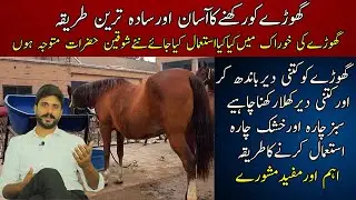 What we have to use in horse food || An easy and simple way to raise a horse || Best Feed for Horses