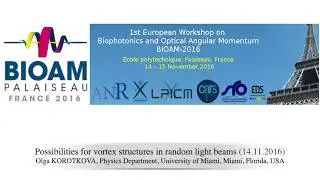 BIOAM 2016 3 POSSIBILITIES FOR VORTEX STRUCTURES IN RANDOM LIGHT BEAMS