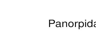 How to pronounce Panorpidae