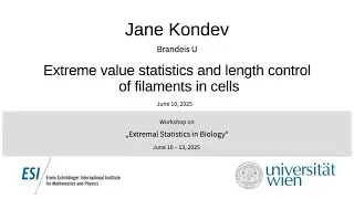 Jane Kondev - Extreme value statistics and length control of filaments in cells