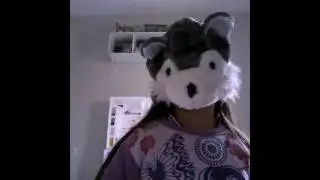 LOBO RESPONDE  LOBO 1