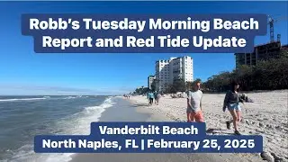 Robb&rsquo;s Tuesday Morning Beach Report and Red Tide Update North Naples, Florida | February 25, 2025