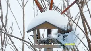 Winter in der Kurpfalz - Metropolregion Rhein-Neckar