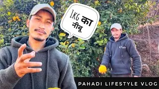 नीबू कि चटपटी 🤤🤤recipe (आओ निबू सानते  हैं ) || pahadi lifestyle vlog || Hello Thakur vlog