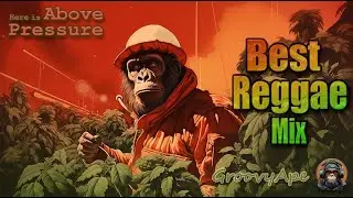 🍀🍓Dub | Reggae  Instrumental 2025 Mix | 420 Chill | --304