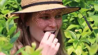 Zeno Mountain Farm Summer Movie 2016