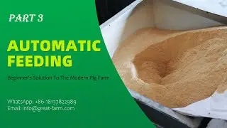 Beginner's Solution To The Modern Pig Farm - Automatic feeding system