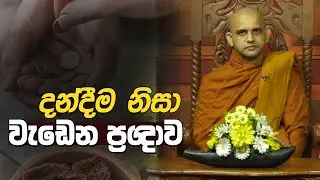 දන්දීම වැඩෙන ප්‍රඥාව | Maligawila Dhammavisuddi Thero | D 03061