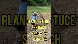 Start Your Fall Garden NOW!