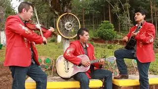 Aire - Trio Creacion Huastek