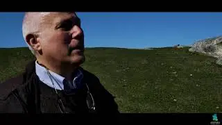 Oamaru - New Zealand's First Geopark