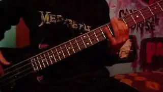 ashes in  your mouth//bass cover// megadeth!!