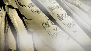 Synteri - Veins