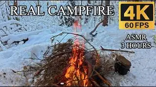Winter Taiga Bonfire ASMR | Viking Axe & Crackling Sparks in Snowy Forest ❄️ 🔥 🌲  4K 📺