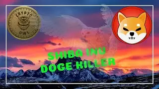 SHIBA INU COIN NEDIR? (Doge Coin Katili mi?) BINANCE LISTELER MI?