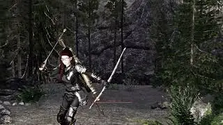 SkyHUD - Ultra Minimalist and Immersive HUD Preset