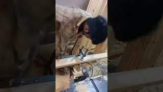 Handmade Masterpieces &ndash; The Beauty of Skilled Woodworking!#WoodworkingSkills #HandmadeMasterpiece
