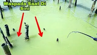 Expoler Rumpon Moro Sari Langsung Strike[[ Mancing Semarang