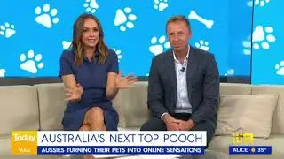 Wahl&rsquo;s Next Pet Model 2024 on The Today Show! 🐾✨