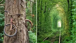 Nature Reclaiming Abandoned Places | Nature Reclaiming Itself ~ Smart Enough
