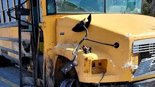 Totaled bus may slow dog rescue transports for West Texas nonprofit