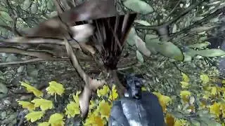 _DanTheMan_ - New CoD4 Strafes