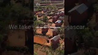 We Take You to Madagascar 🇲🇬