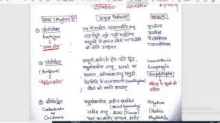 जीव विज्ञान कक्षा 11 part 2 || जीवधारियों का वर्गीकरण तथा द्विनाम पद्धति