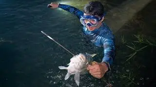Pesca con arpón, Nunca vimos algo así… pez extraño en pesca nocturna 🐟🌙