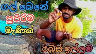 ගල් බෙනයක් ඇදලා ගරපු සුපිරි ඉල්ලම|ගගේ මැණික් ගැරිල්ල @menuubroo