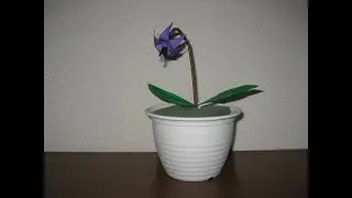 【折り紙】カタクリの花を折り紙で作ってみた。☆EASY make origami Erythronium japonicum Decne☆