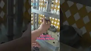 Cost-Effective Vacuz Automation FPV UAV 3115 Drone Motor Rotor Ring 1 Ton Servo Pressing Machine
