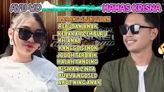 REBUTAN ANAK - BARANG SLUNDUPAN (AYU WD - MAMAS KRISNA) kumpulan lagu tarling viral teebaru 2026‼️